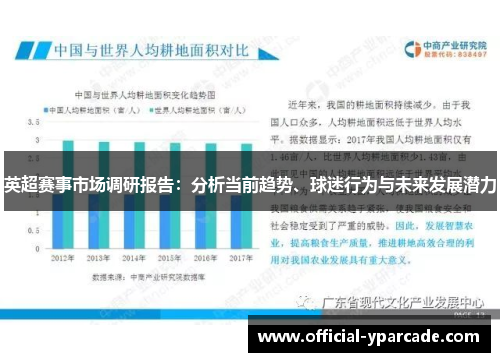 英超赛事市场调研报告：分析当前趋势、球迷行为与未来发展潜力