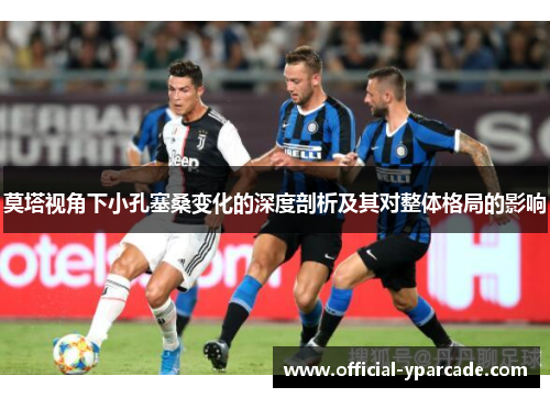 莫塔视角下小孔塞桑变化的深度剖析及其对整体格局的影响